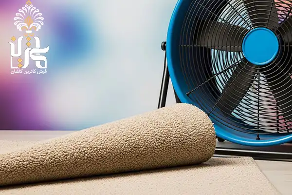 Carpet dryer